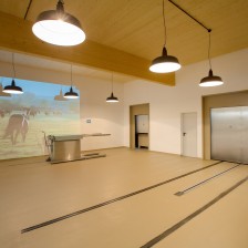 165A8629-Bearbeitet.jpg