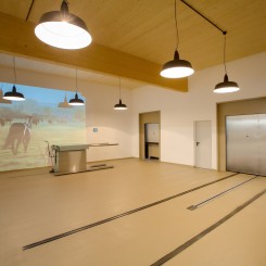 165A8629-Bearbeitet.jpg